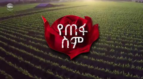Yetefa Sim - Episode 24 (Amharic dub by Kana TV)
